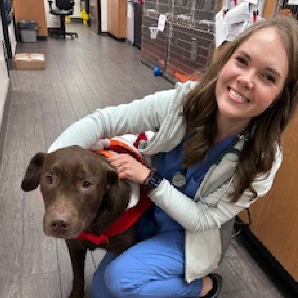 Profile picture of Trisha Prevatt, DVM, MS, Veterinarian