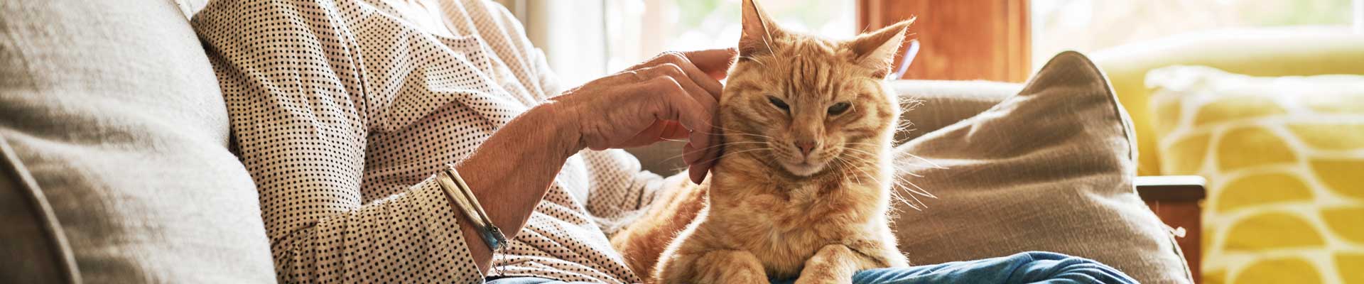 20181205_001_1920x400