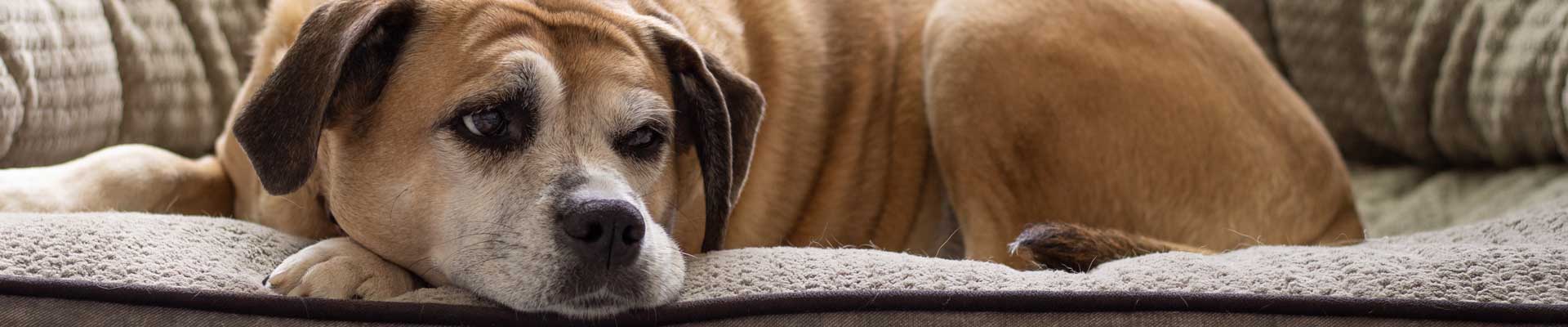 20220526_001_1920x400