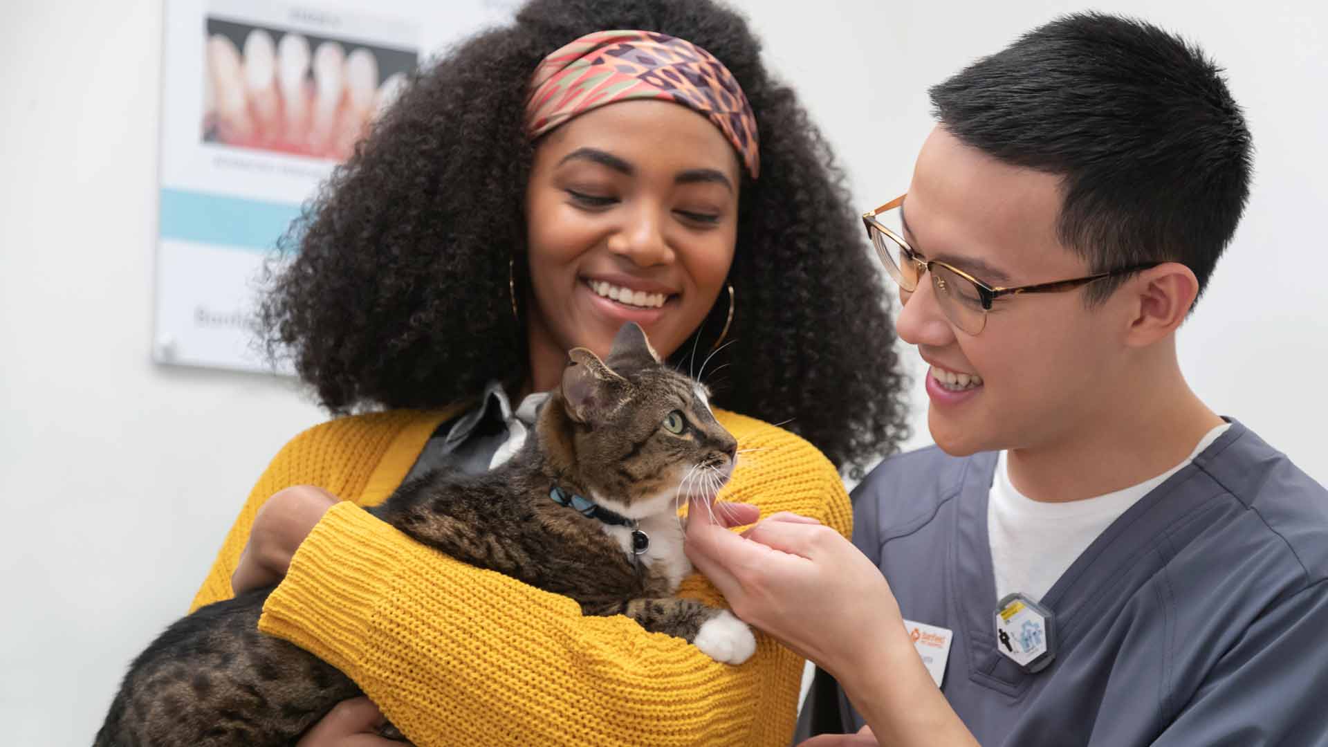 Vet assistant Joseph Slater pets a cat in the arms of a client