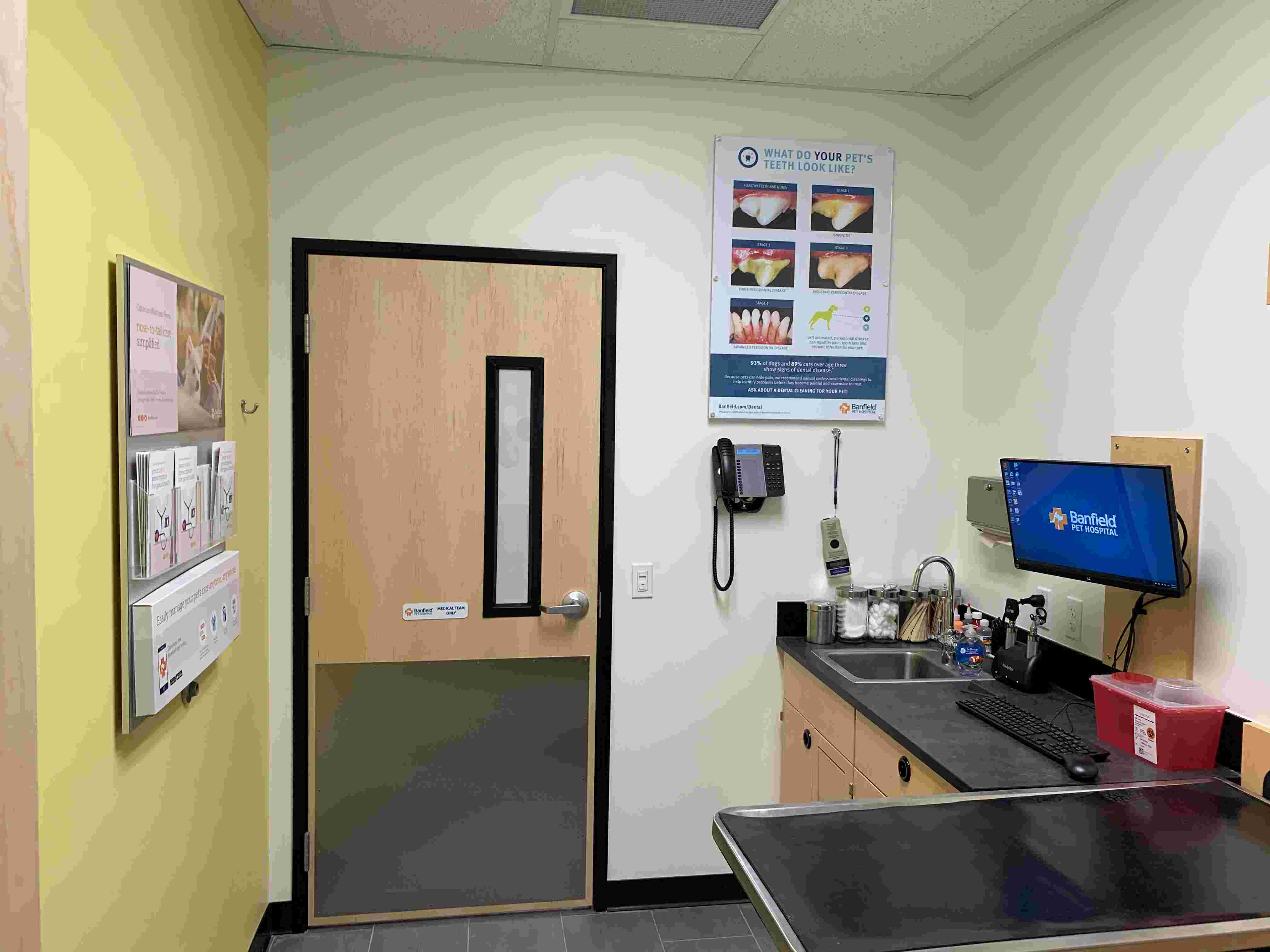 The Banfield Brandon Clayton Plaza exam room