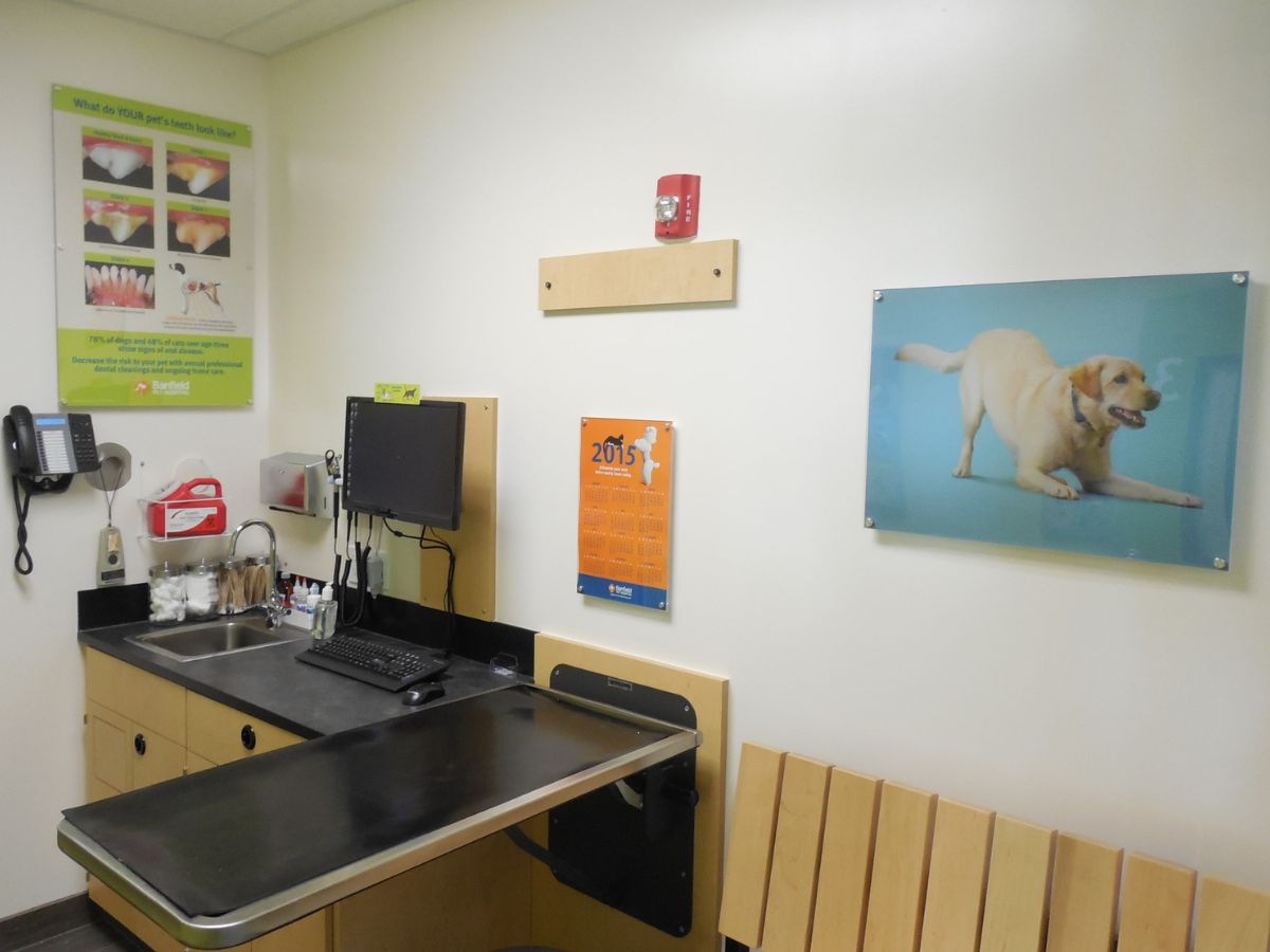 The exam room and exam table of the Banfield Fontainebleau hospital