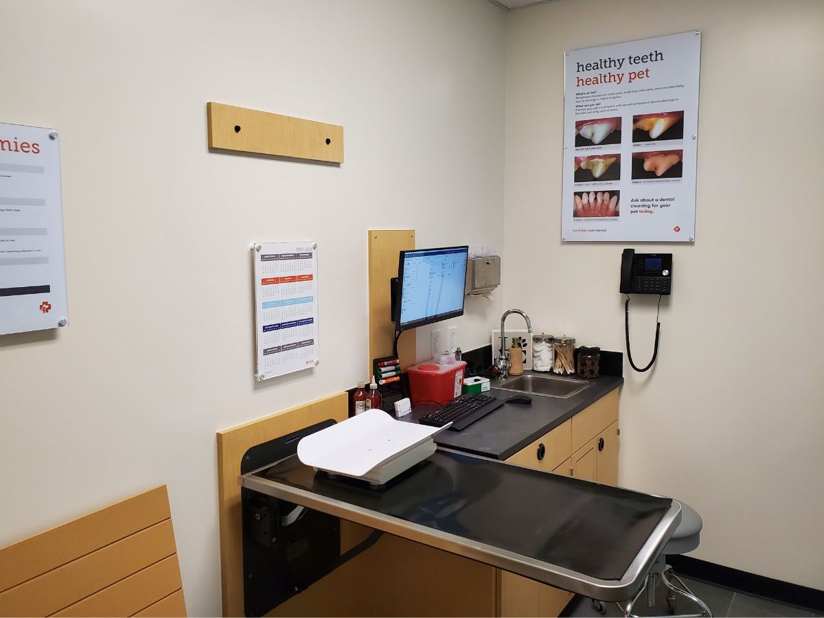 An inside view of a Banfield Miami Kendall hospital exam room