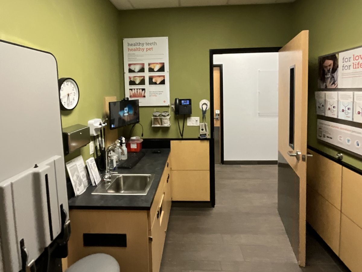 An exam room at Banfield Coral Springs Riverside