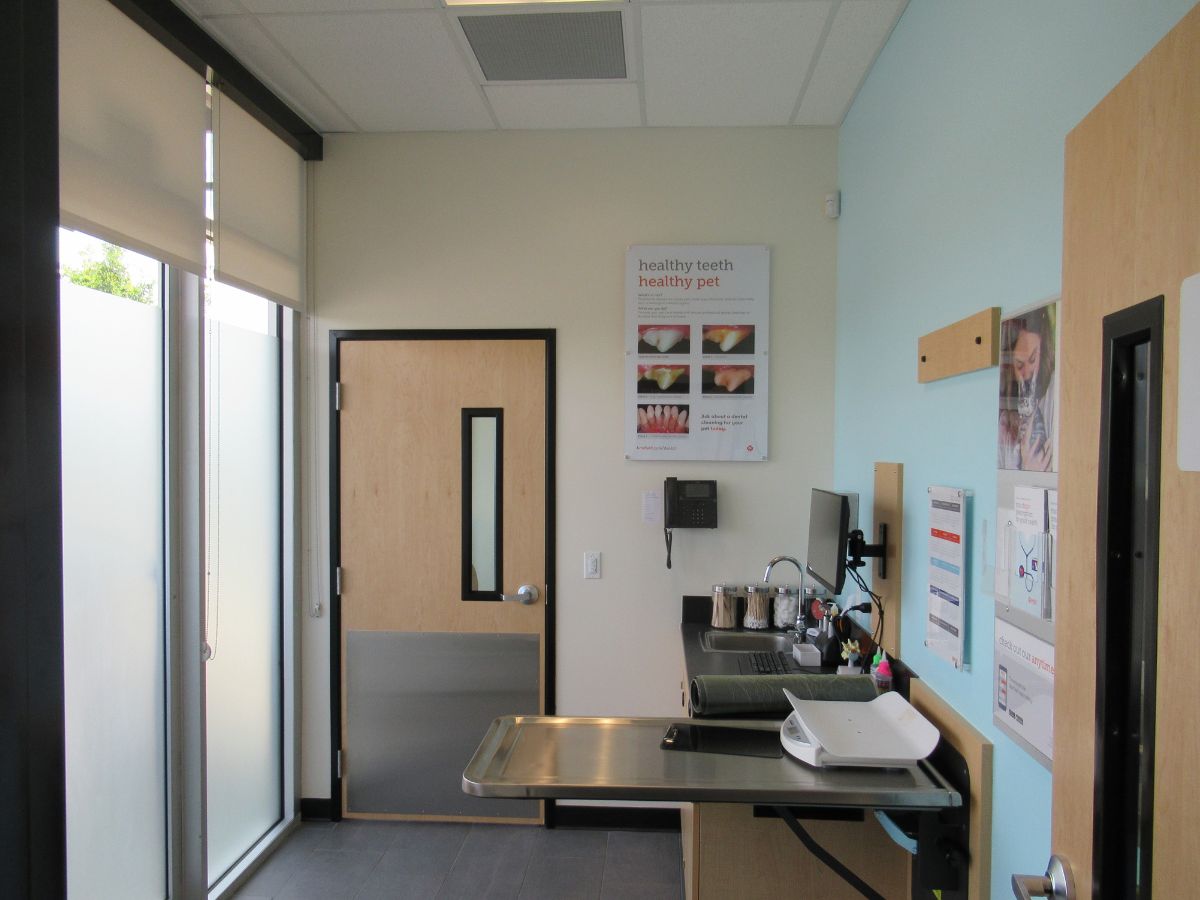 The Banfield Pet Hospital Tallahassee exam room