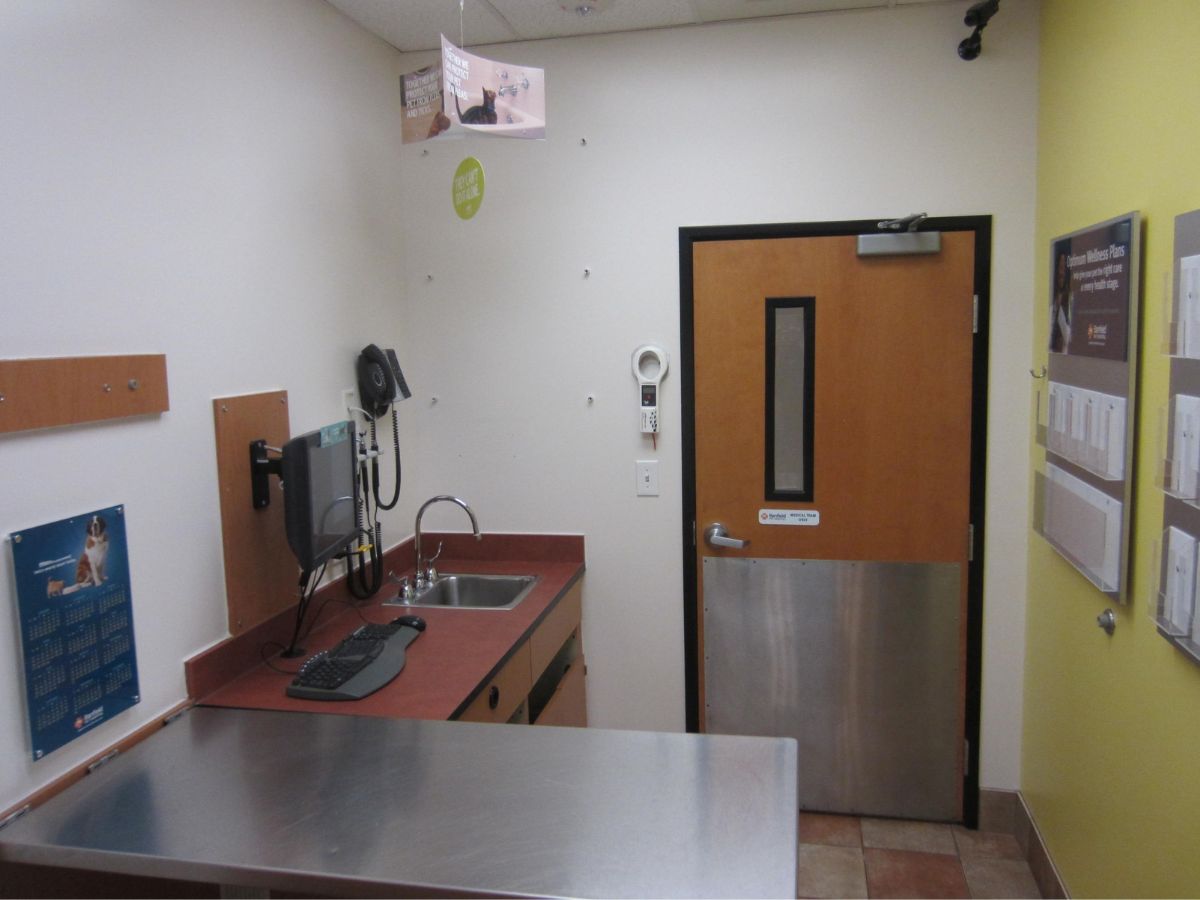 The Banfield Marietta hospital exam room with table