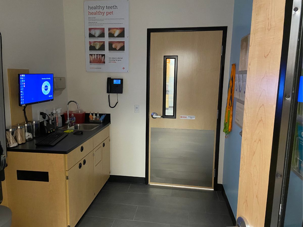 The Banfield Pet Hospital: Lawrenceville exam room