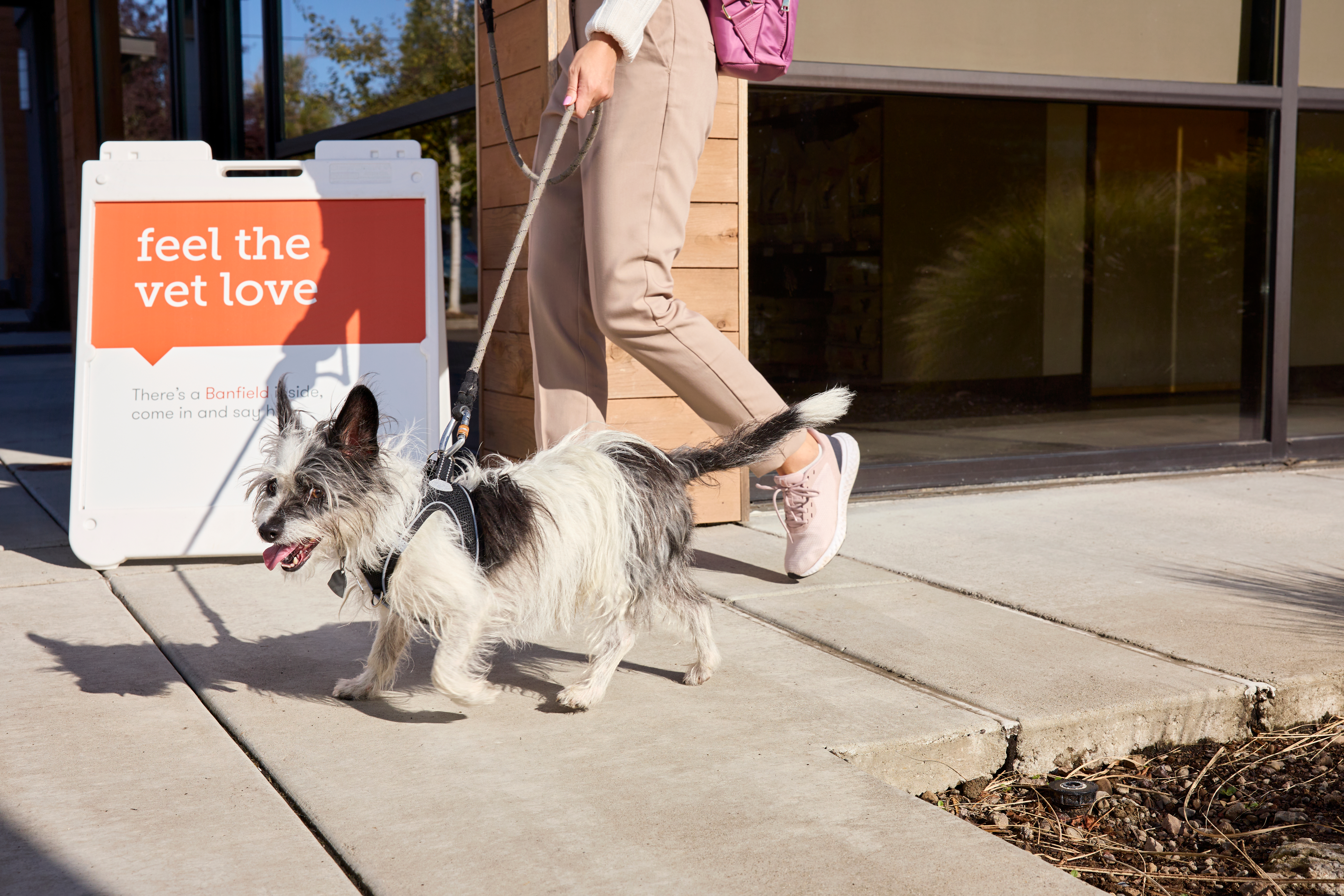 A woman walks her pet dog outside Banfield Pet Hospital.