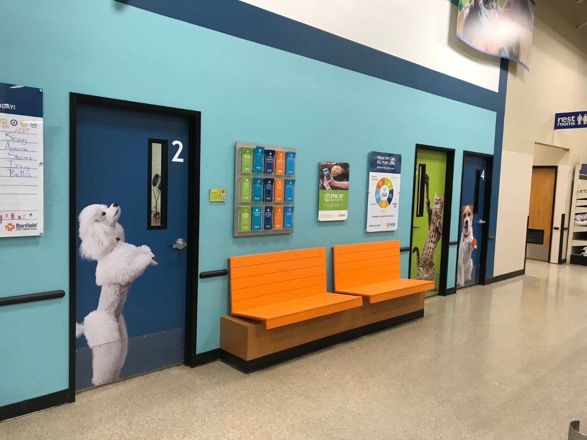 The Banfield Avon hospital lobby and exam room entrances