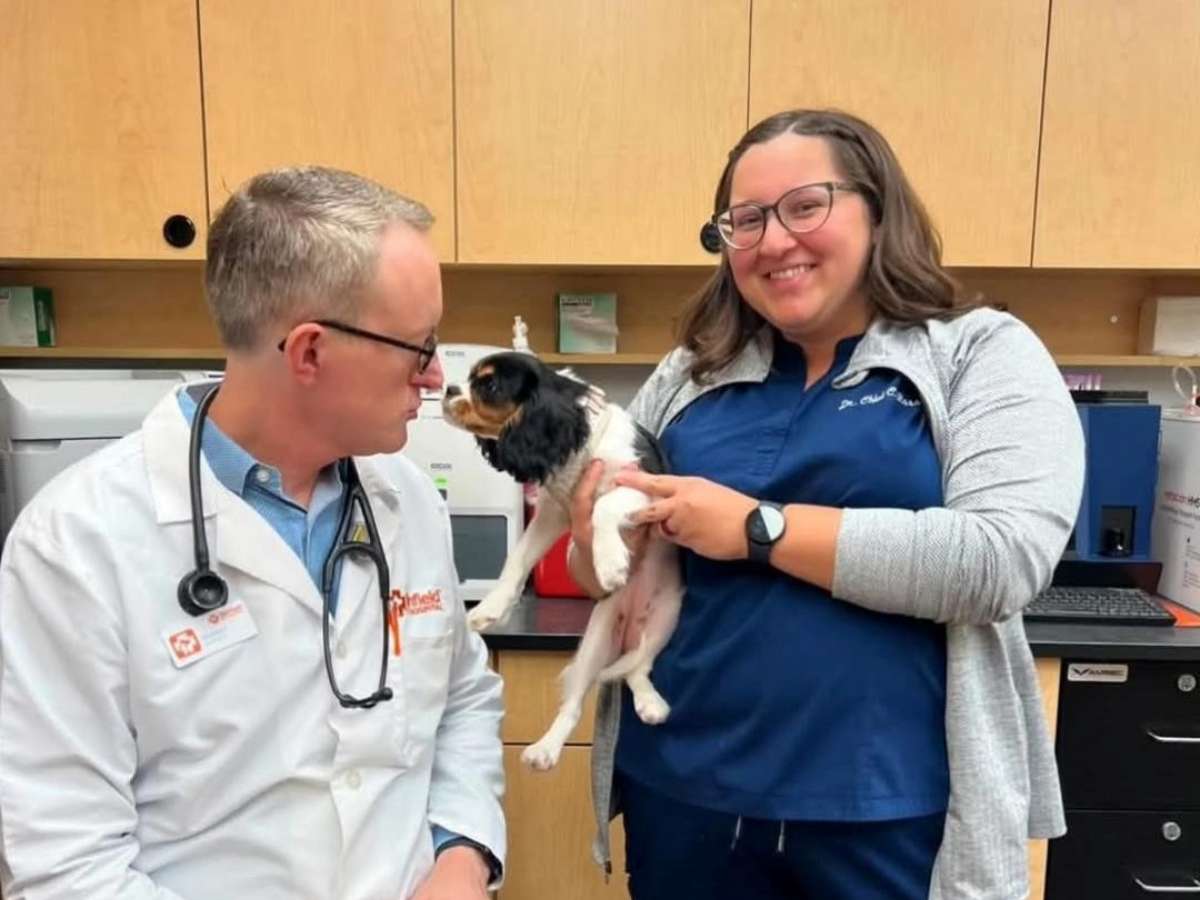 Two Banfield veterinarians with a Cocker Spaniel