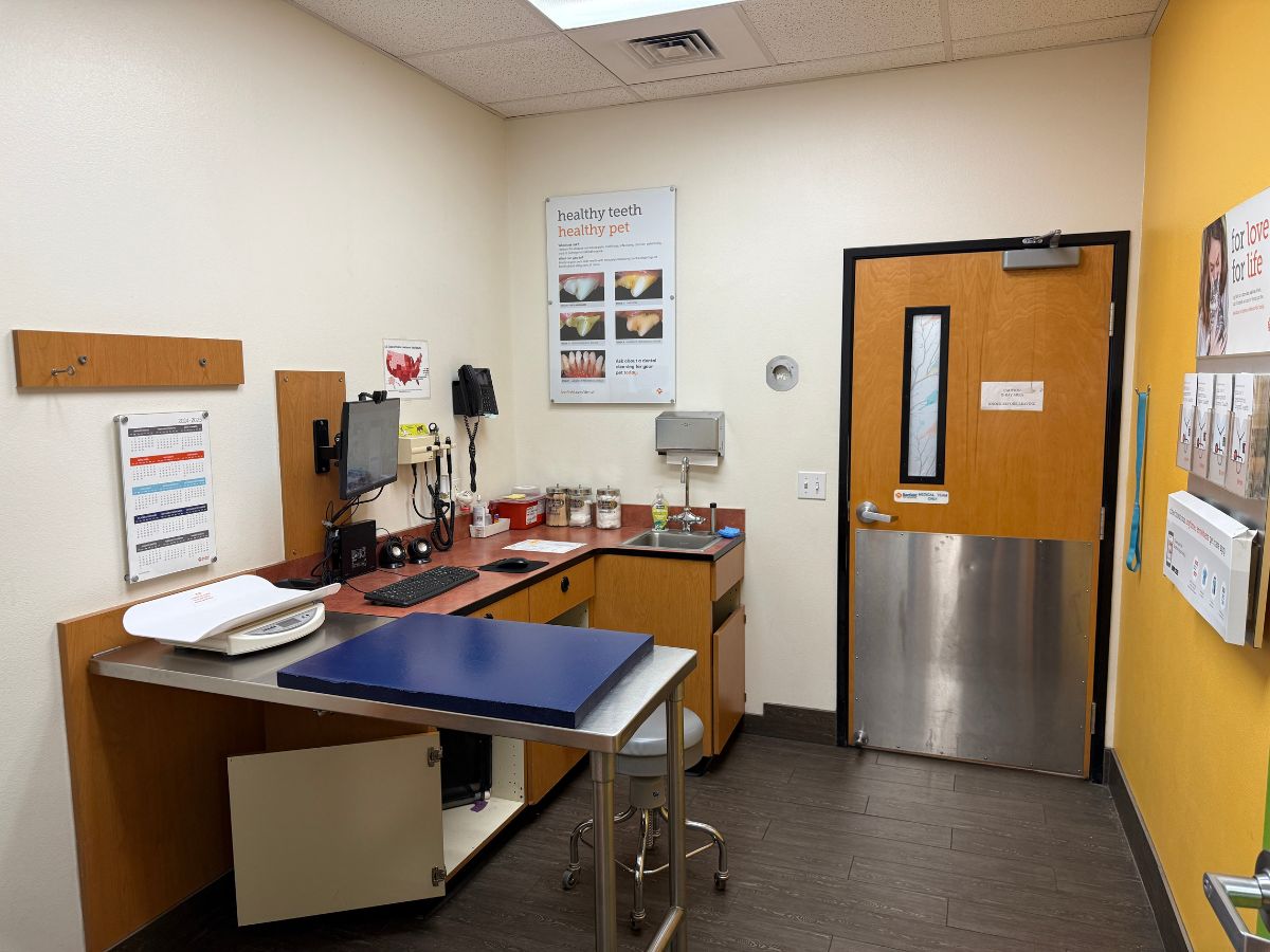 Inside the Banfield Brea exam room with a table