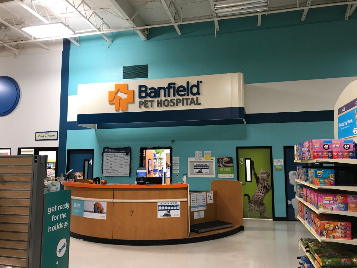 The Banfield Buena Park hospital front desk and check-in