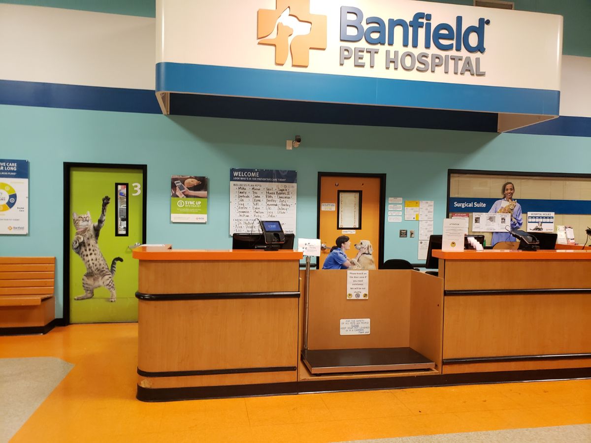 The Banfield El Segundo front desk and waiting area
