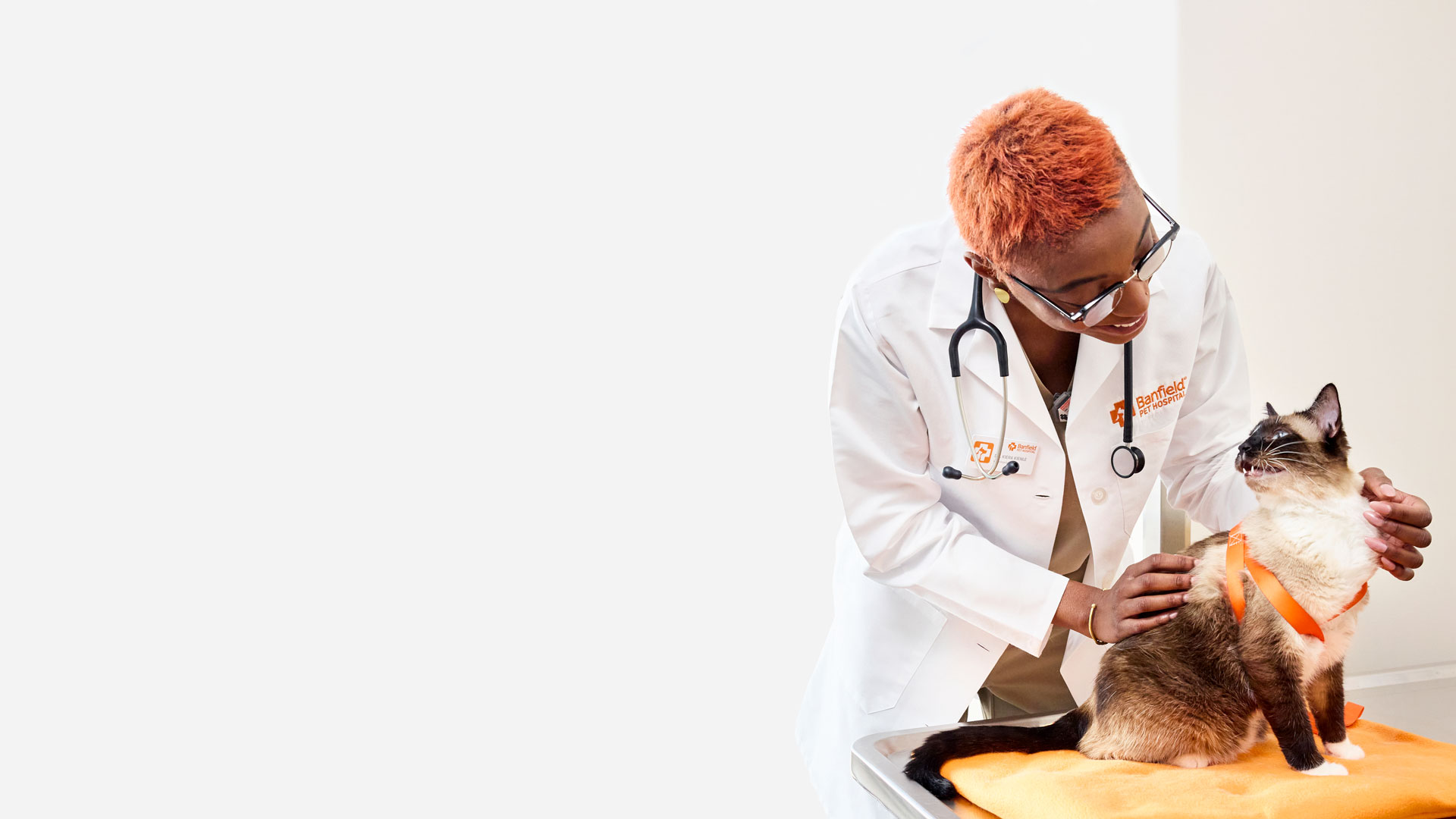 Keira Kienle, DVM, greets a Siamese cat.