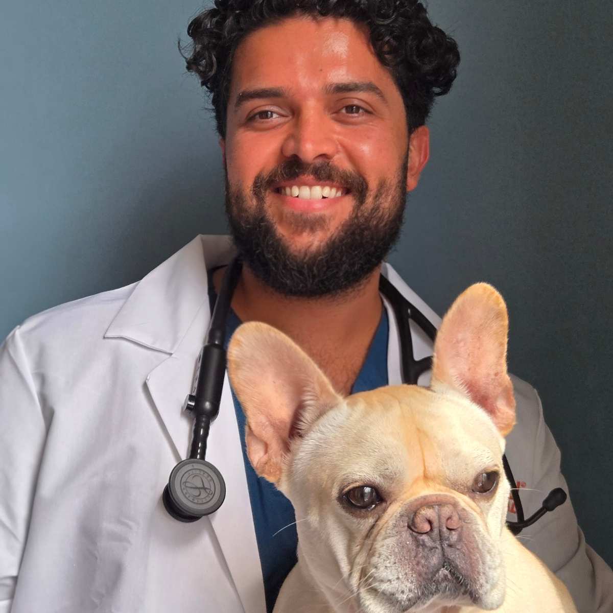 Profile picture of Gianni Asfahani, DVM, Veterinarian