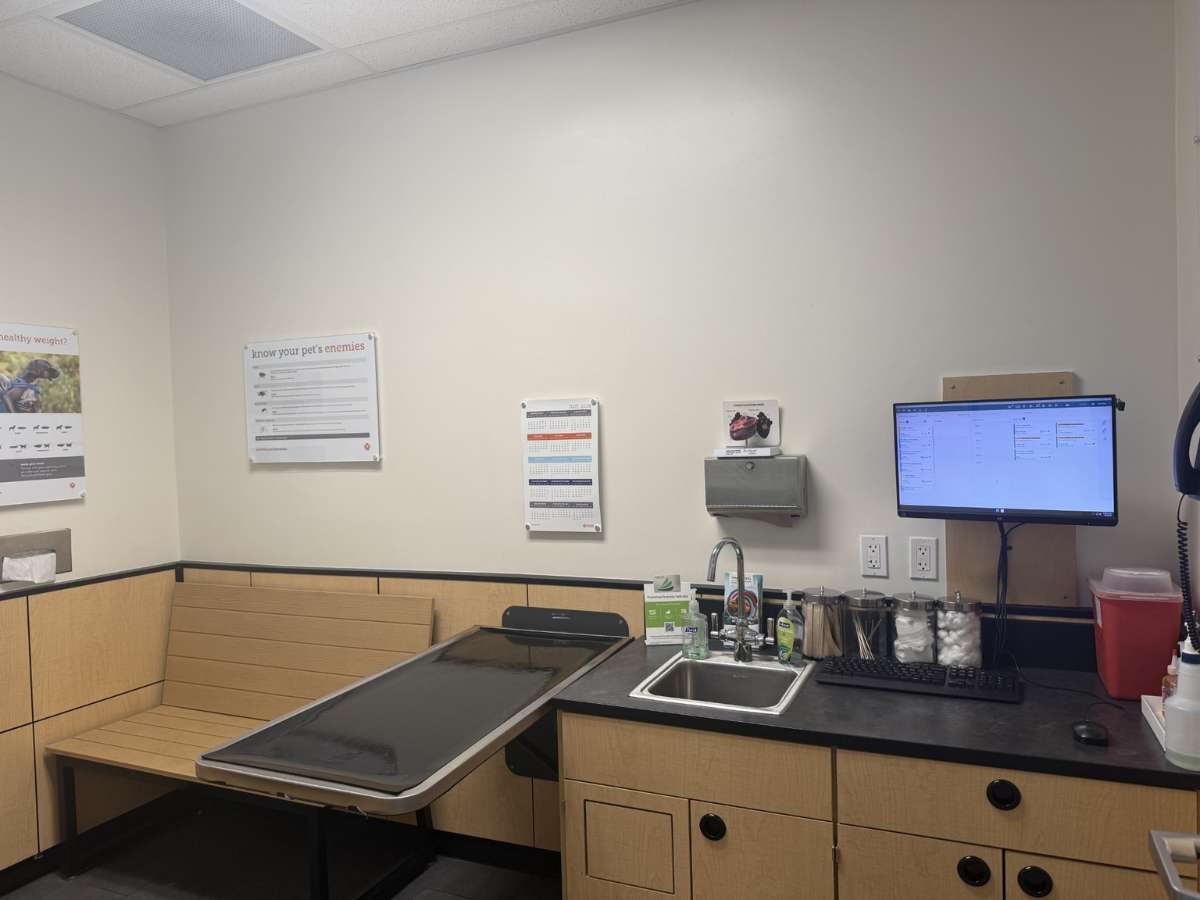 An exam room in the Miami Kendall Banfield hospital