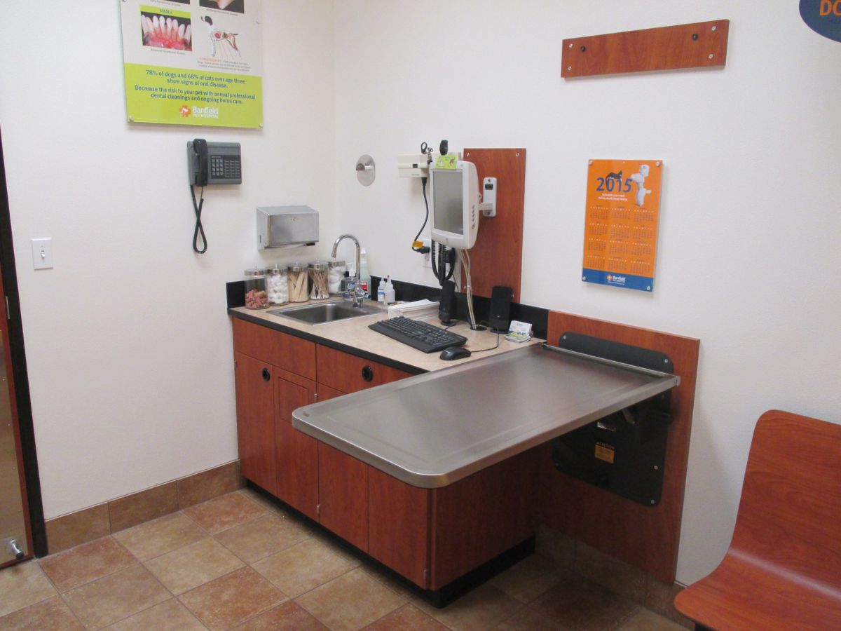 Inside view of a Banfield Northville exam room