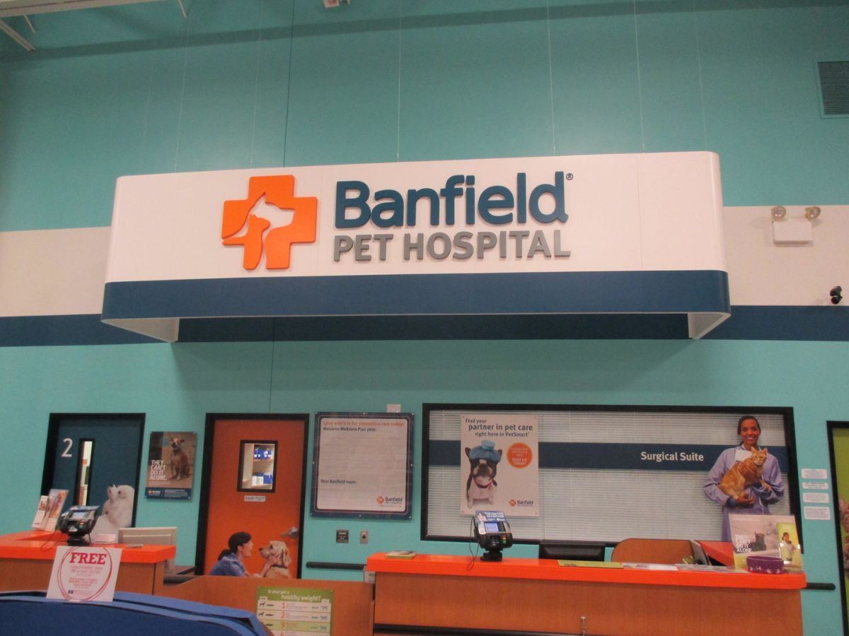 The Brighton Banfield front desk and check-in area