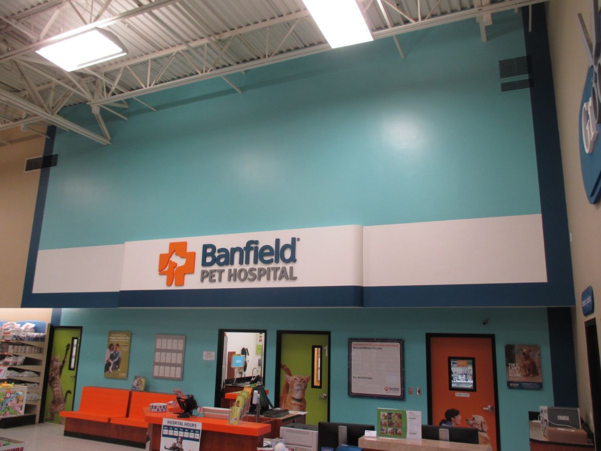 The Livonia Banfield hospital waiting area and exam room entrances
