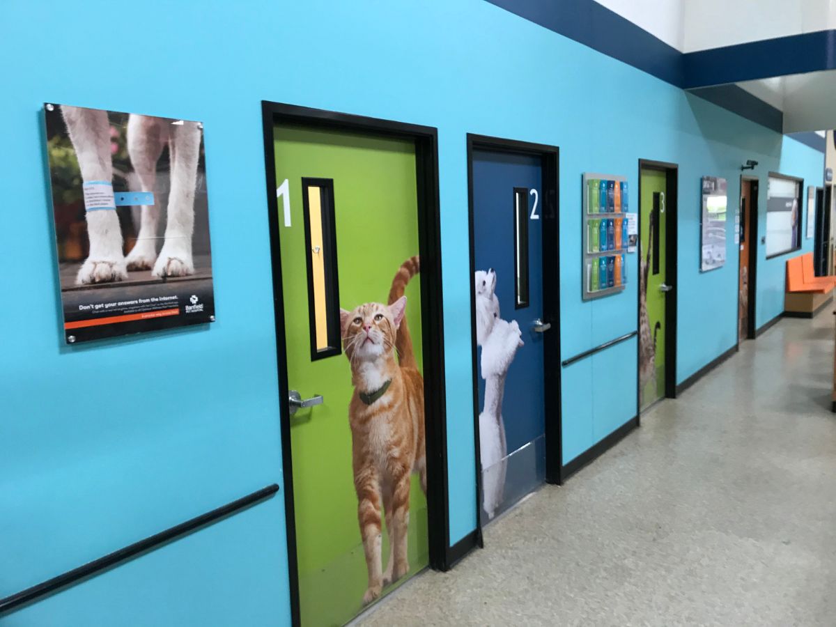 The exam room entrances in the Banfield Spring Meadows hospital