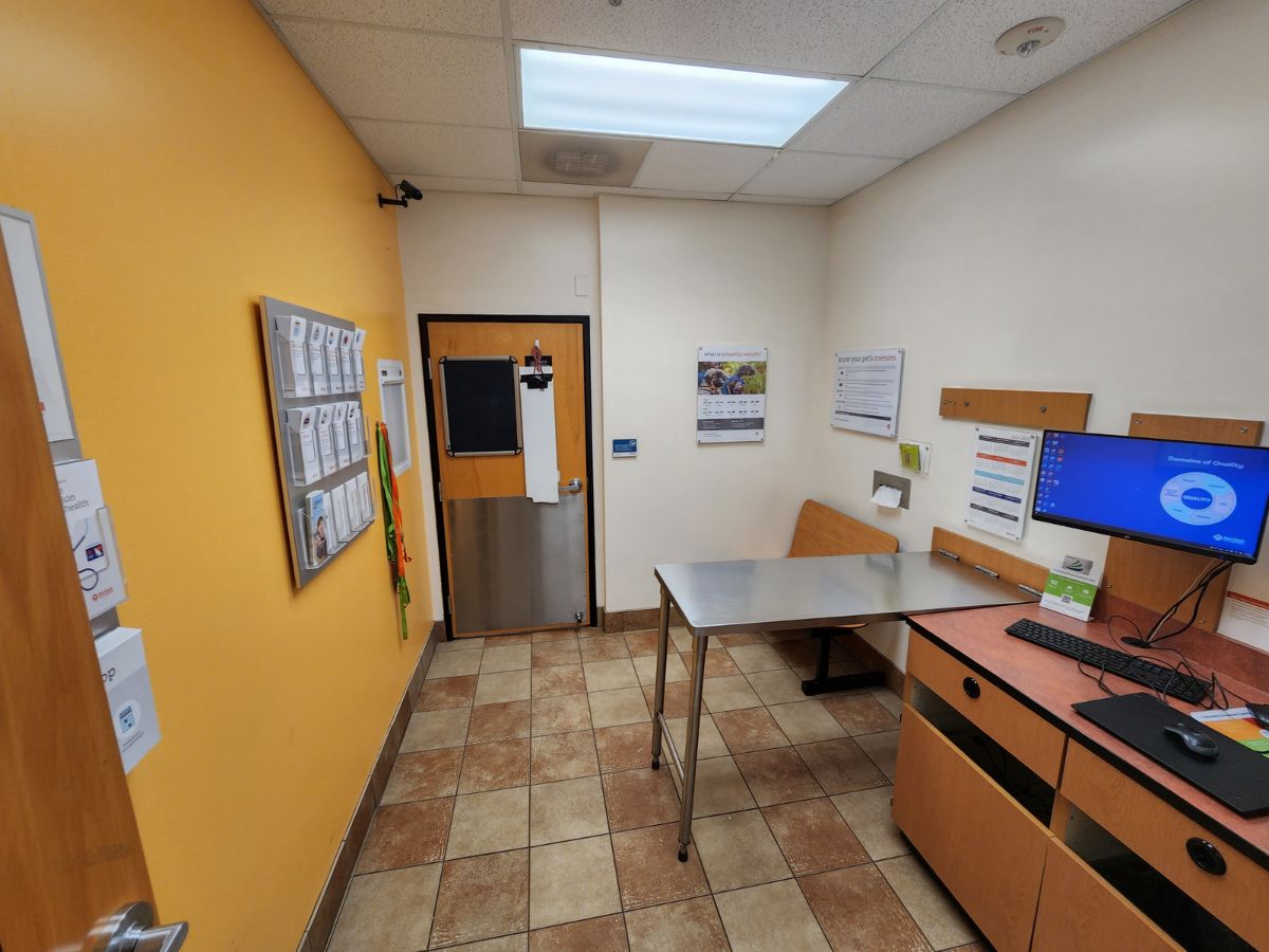 Inside an exam room at the Woodhaven Banfield hospital
