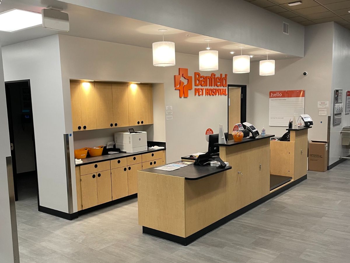 The Ann Arbor Banfield front desk and check-in area