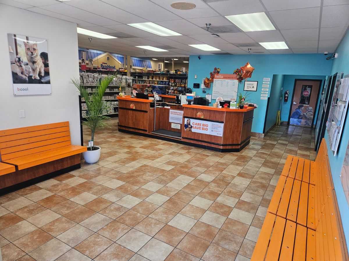 The Banfield Bel Air front desk and customer waiting area