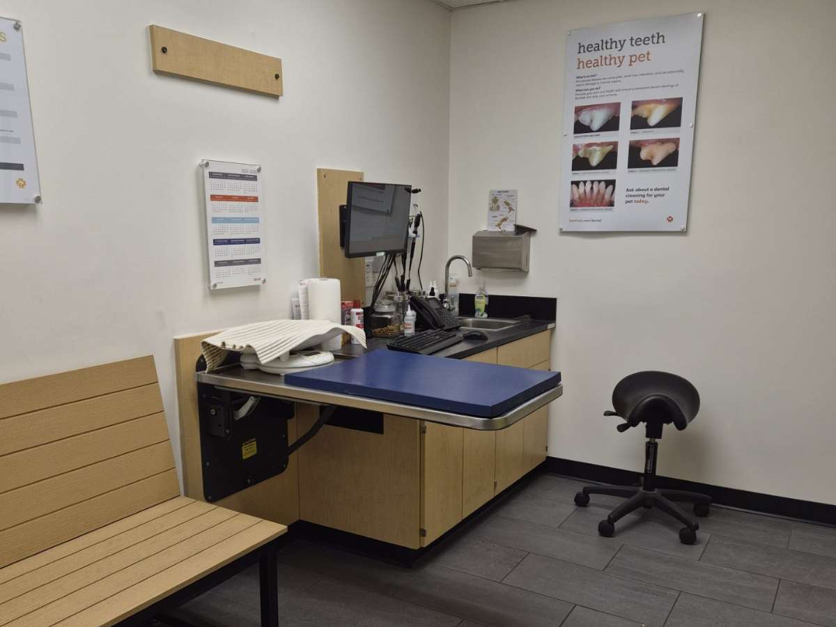 Banfield Pet Hospital - Westlake exam room