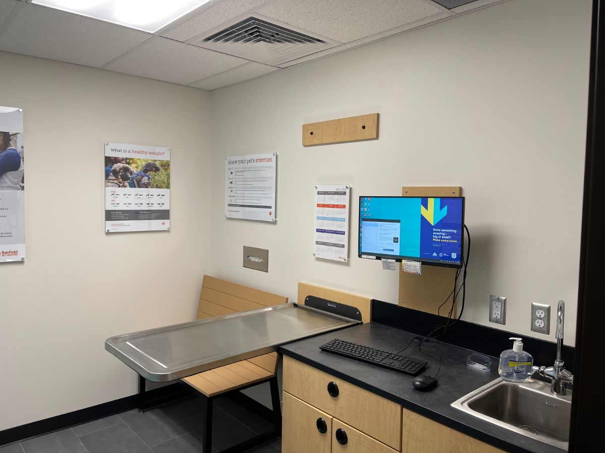 An inside look at a Larpenteur Banfield exam room