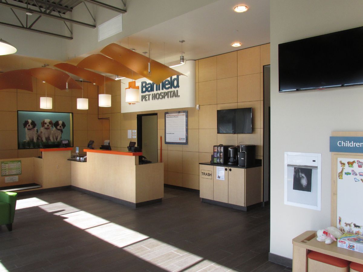 The front desk and waiting area of the Apple Valley Banfield hospital