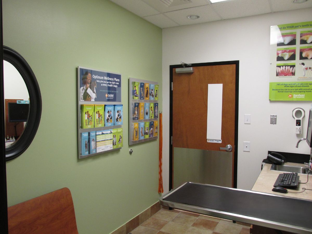 An exam room with table at the Sanford Banfield hospital