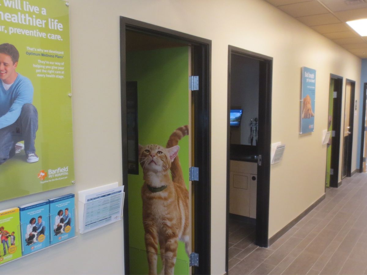 The exam room doors at the Greensboro N hospital