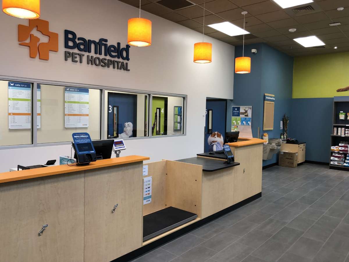 The front desk at the Raleigh Falls Pointe Banfield hospital