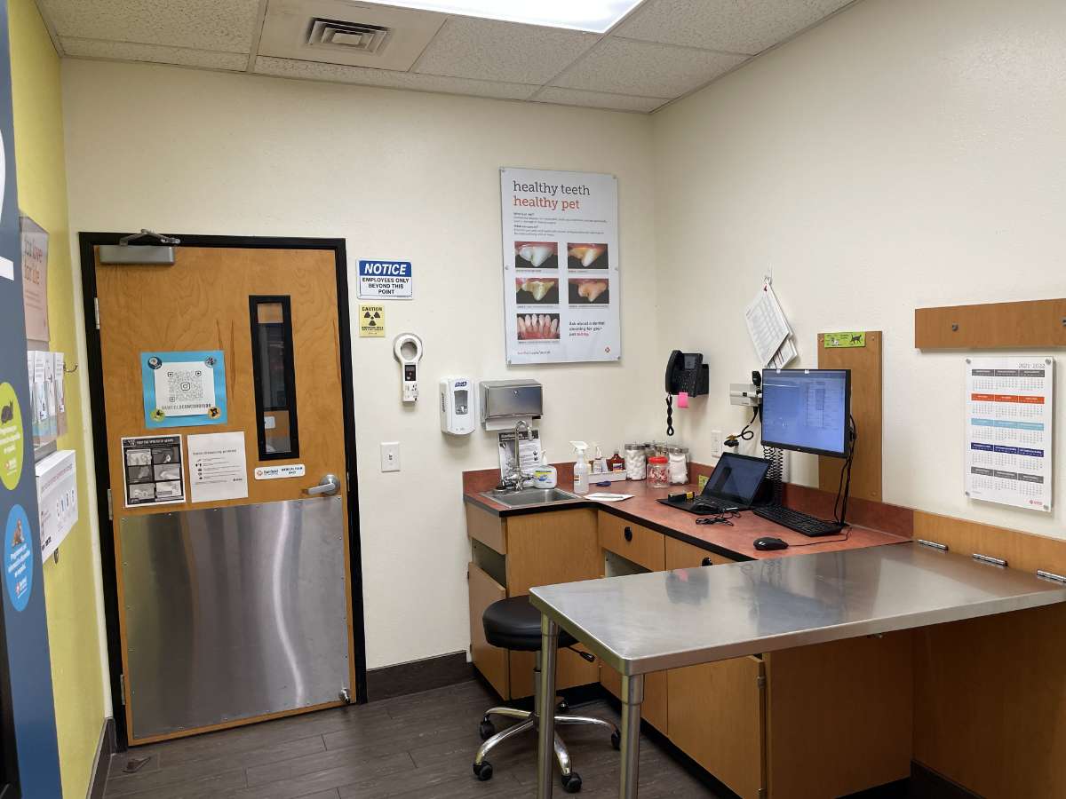 A view of the Concord Banfield hospital exam room