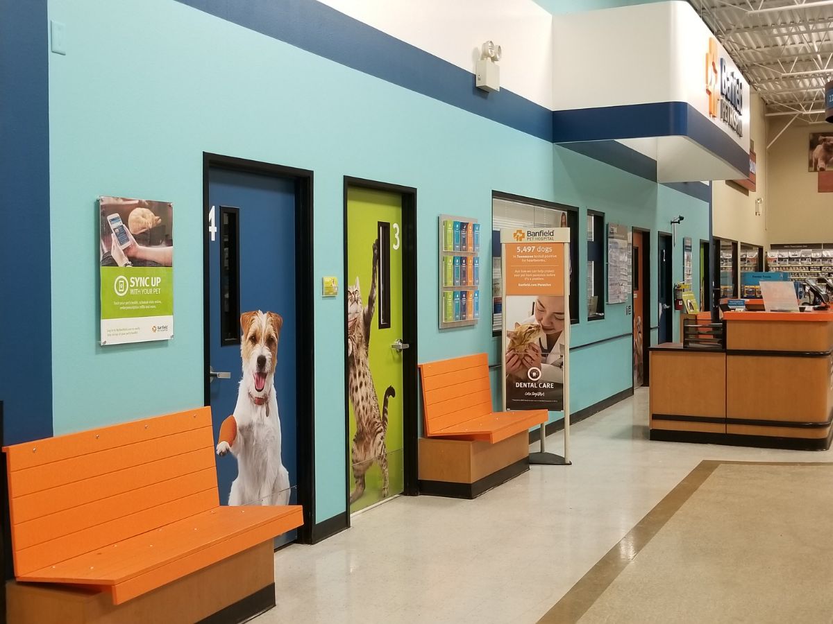 Exam room doors and benches at Banfield - Hermitage