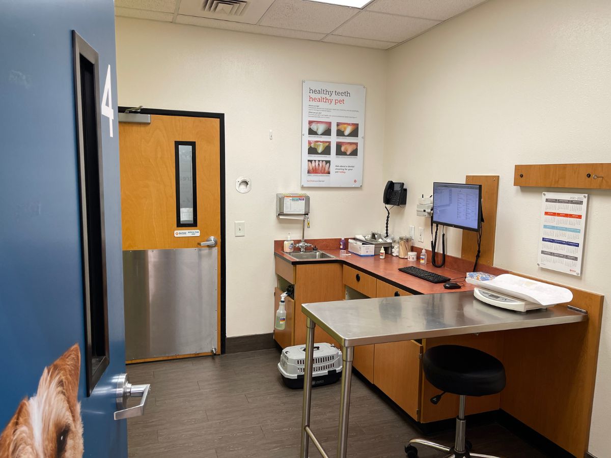 The Banfield Pet Hospital: Nashville W exam room with table