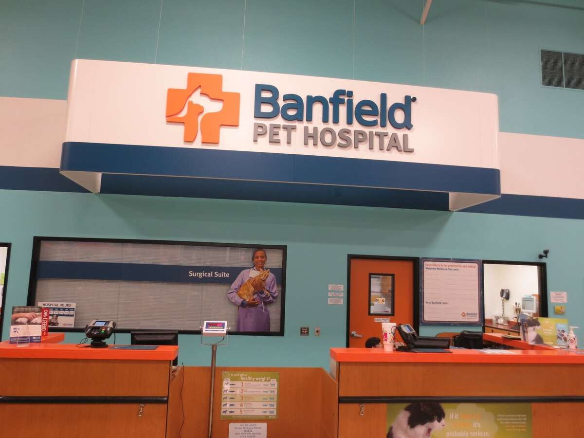 The Owasso Banfield hospital front desk and check-in