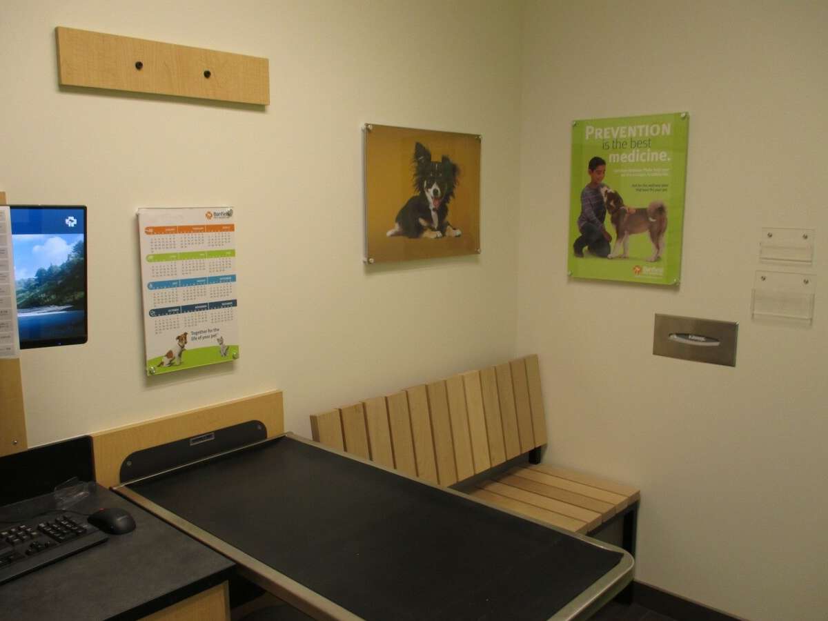 The exam room and table at the Fair Oaks Banfield hospital