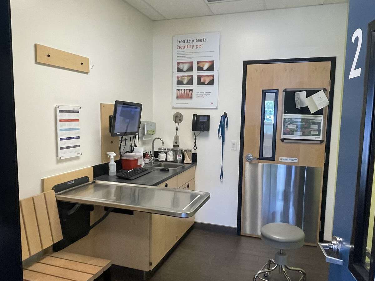 The exam room and table at the Antelope Banfield hospital