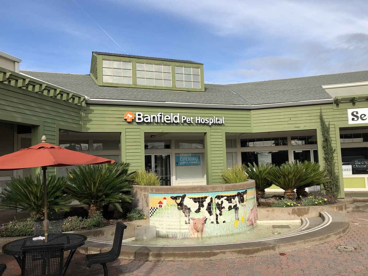 The front of the Davis Banfield hospital building