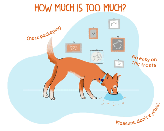 An illustrated gif of a puppy eating out of a bowl of food