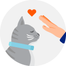 Illustrated icon of a hand reaching toward a grey cat
