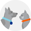 Illustrated icon of a grey dog and a grey cat