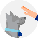 Illustrated icon of a hand reaching toward a grey dog