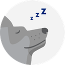 Illustration of a gray dog with blue z's indicating sleeping