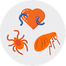 Illustration of an orange heartworm-afflicted heart, flea, and tick