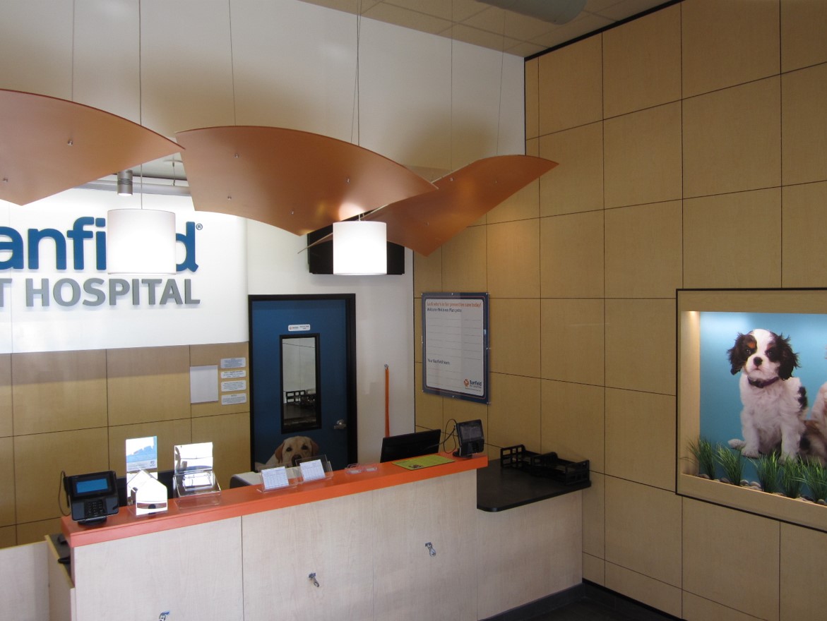 Banfield Pet Hospital: Mission Gorge front desk