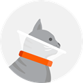 Illustration of a cat wearing a cone