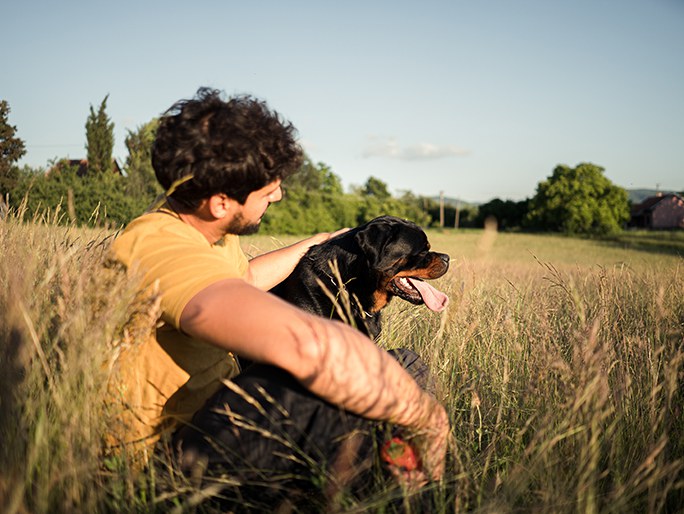 A Rottweiler and their owner in a field