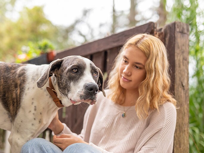 A gray and white dog sitting with its owner